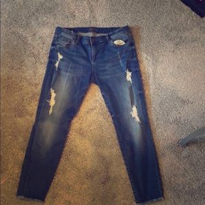 KUT jeans